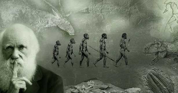 Evoluzione della specie