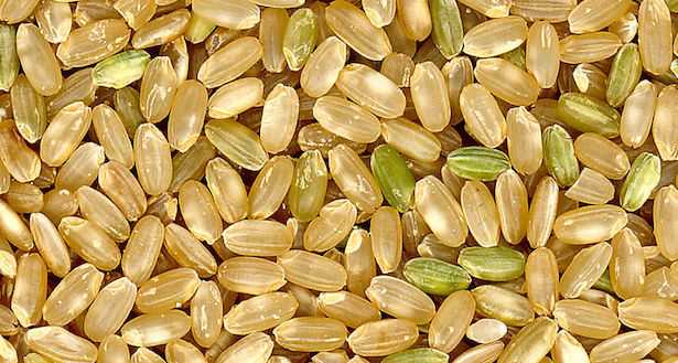 farina di riso integrale