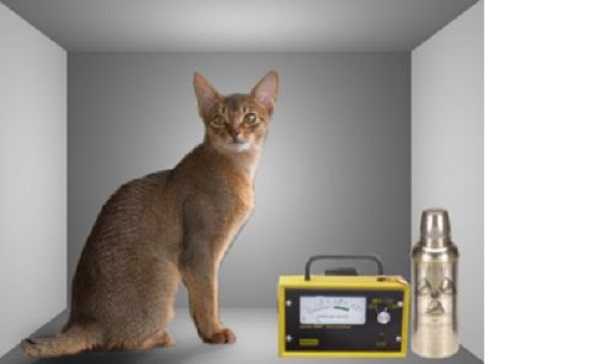 Gatto di Schrödinger: paradosso