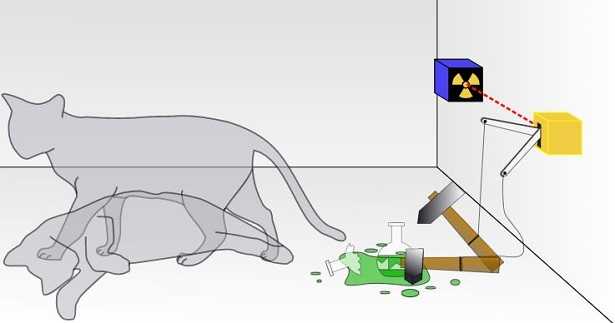 Gatto di Schrödinger: esperimento