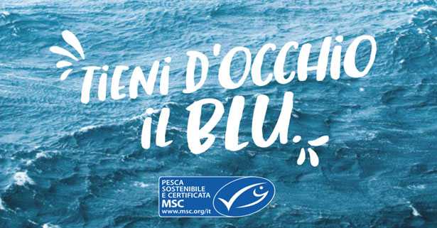 MSC tieni d'occhio il blu