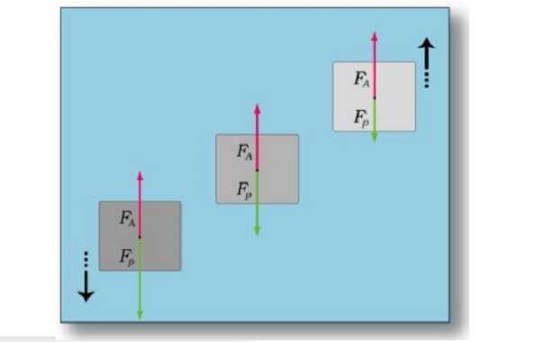 Pressione idrostatica e spinta idrostatica Pressione idrostatica e spinta idrostatica