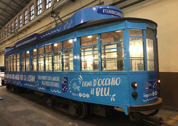 sostenibilita ittica msc ideegreen