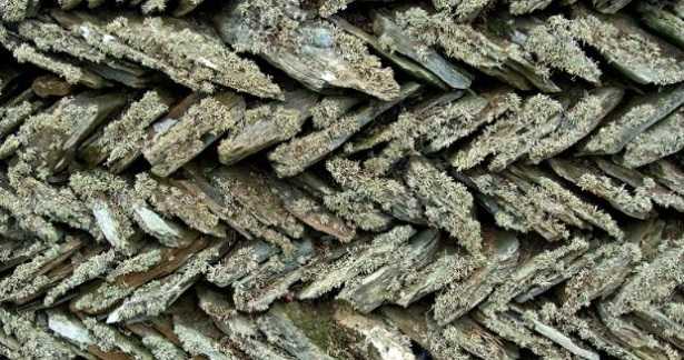 Stratigrafia Stratigrafia