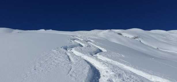 Stratigrafia Stratigrafia