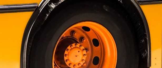 Vulcanizzazione per pneumatici