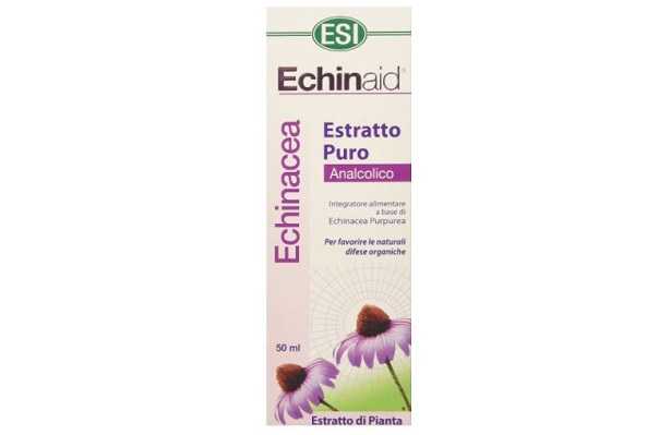 Echinacea 