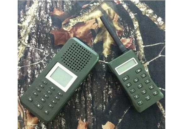 Pettirosso: richiamo Pettirosso: richiamo