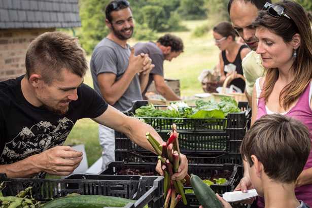 alveare che dice si cerca gestori