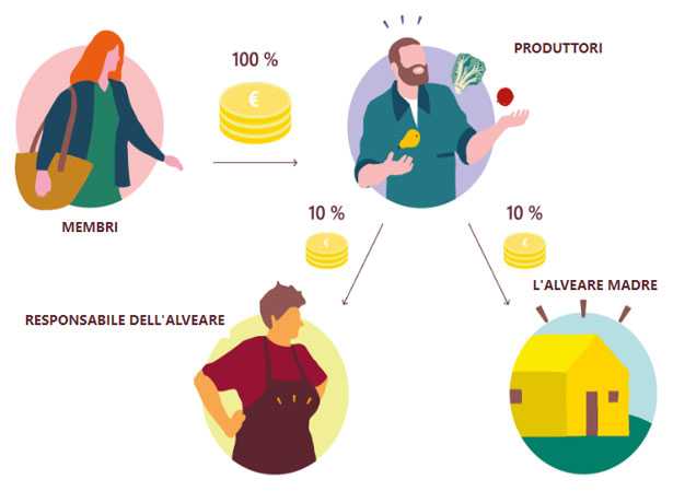 alveare modello remunerazione