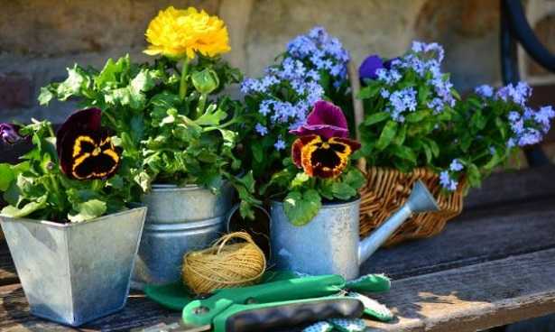 Centralina di irrigazione