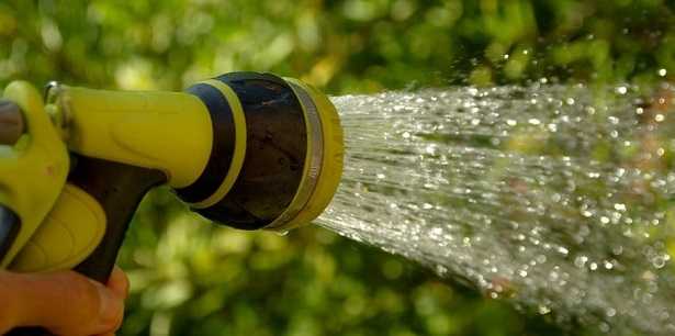 Ditte di giardinaggio