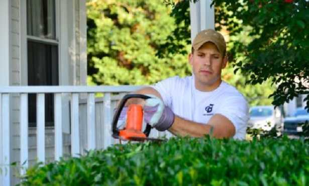 Ditte di giardinaggio