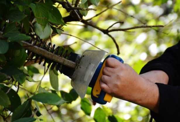 Ditte di giardinaggio