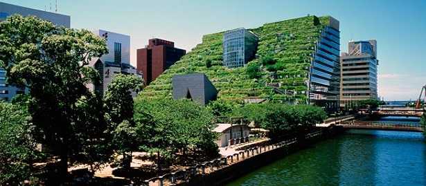 Giardini pensili: fioriere Giardini pensili: fioriere