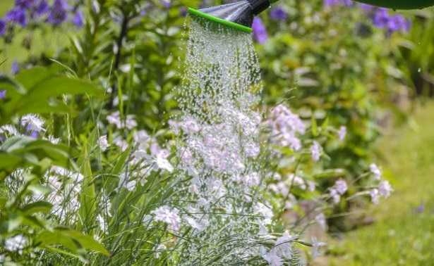 Impianto di irrigazione Impianto di irrigazione