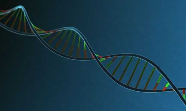 Istocompatibilità Istocompatibilità