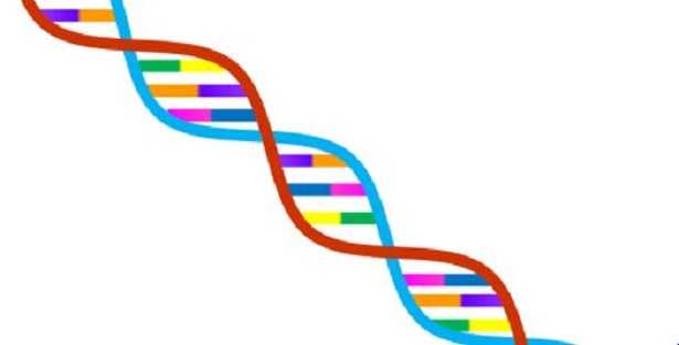 Istocompatibilità: definizione Istocompatibilità: definizione