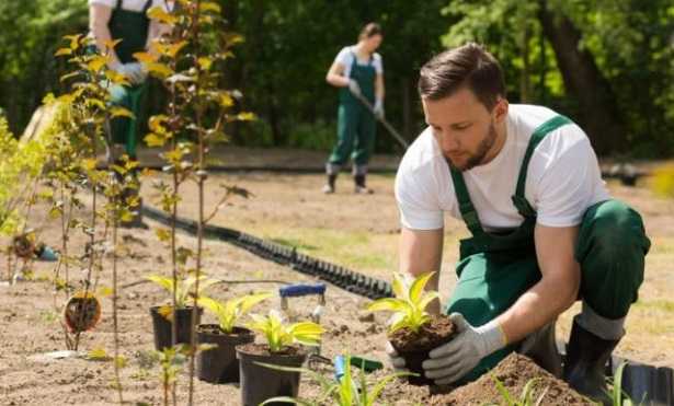 Lavori di giardinaggio