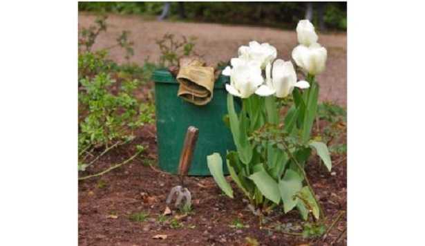 Lavori di giardinaggio