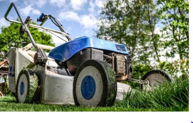 Lavori di giardinaggio