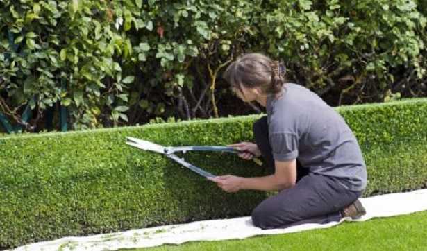 Lavori di giardinaggio