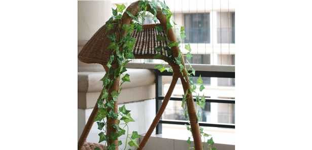 Piante fitodepurazione verticale