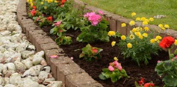 Progettazione di aiuole