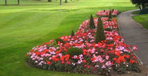 Progettazione di aiuole