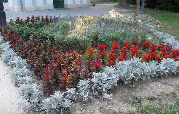 Progettazione di aiuole