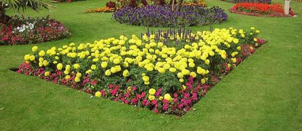 Progettazione di aiuole