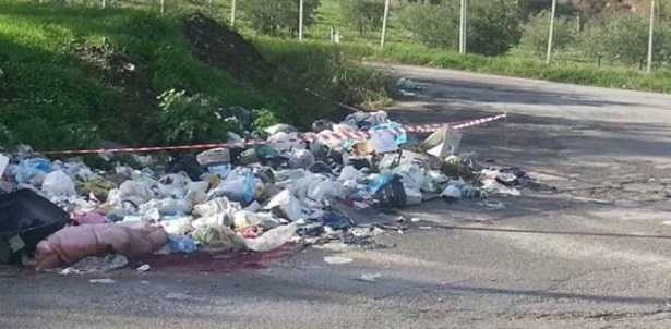 Reati ambientali Reati ambientali