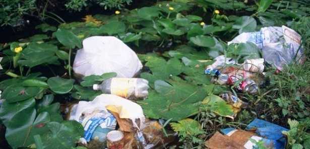 Reati ambientali Reati ambientali