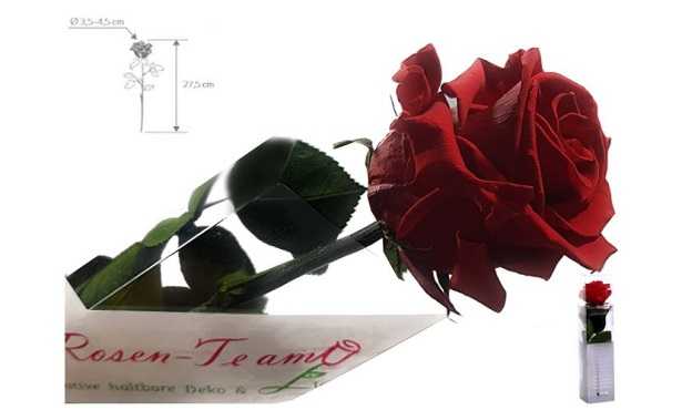 Rose da interno brutte 