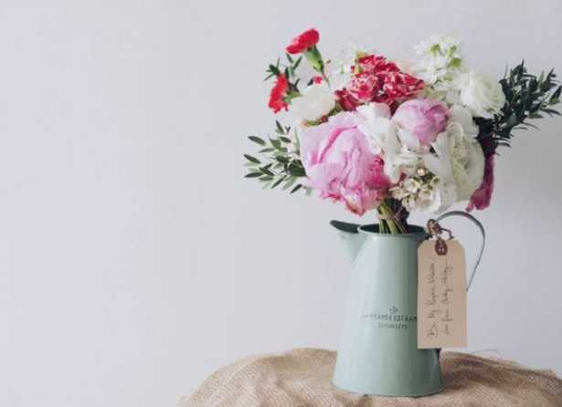 Rose da interno e roselline