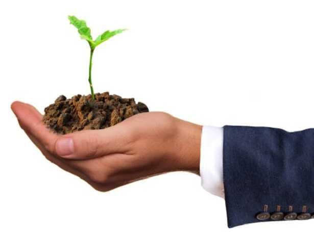 Terra da giardino Terra da giardino