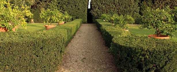 Vialetto da giardino