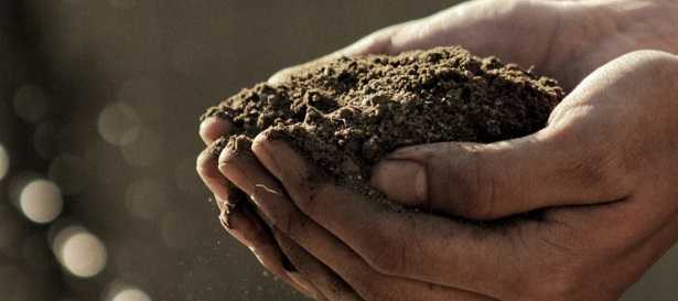 Agroecologia: definizione