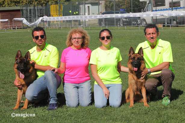 allevamento pastori tedeschi casa falcone