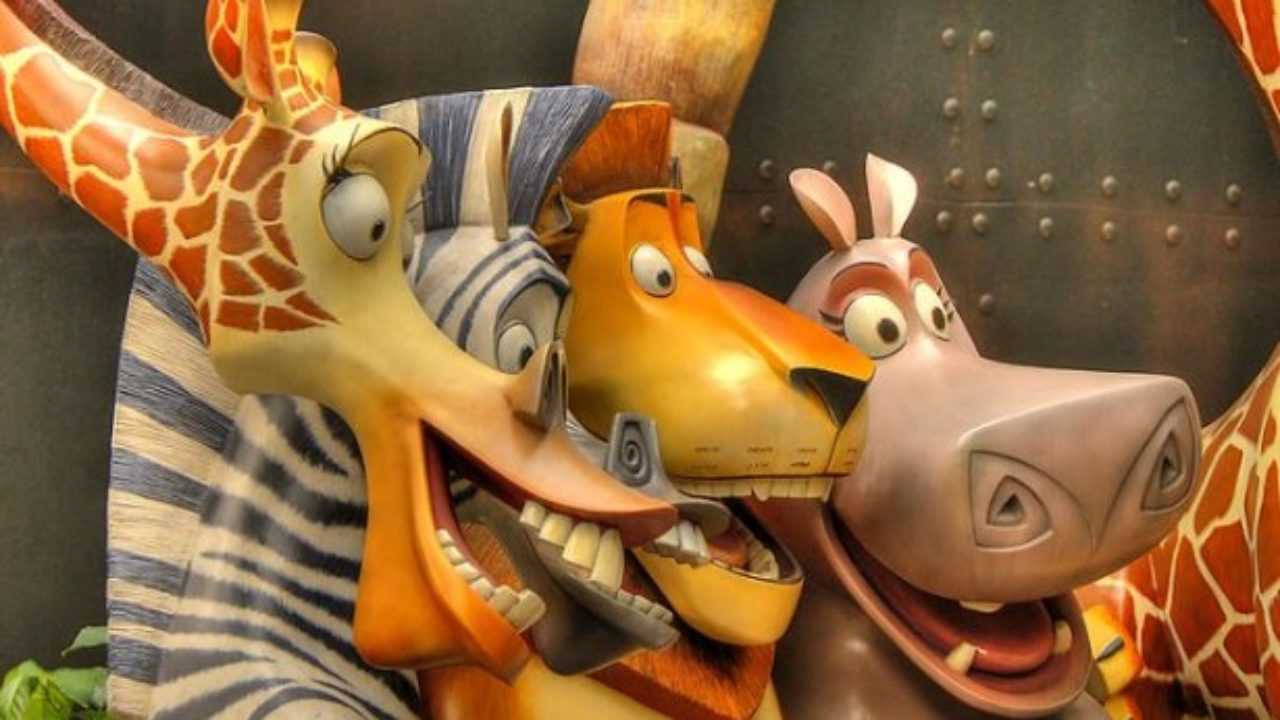 Giraffa Di Madagascar Idee Green