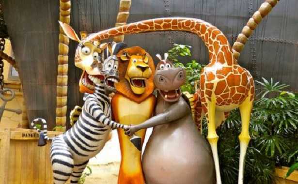 Giraffa di Madagascar Giraffa di Madagascar