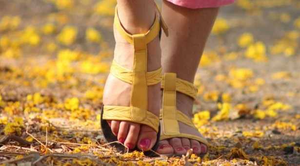 paramorfismo significato