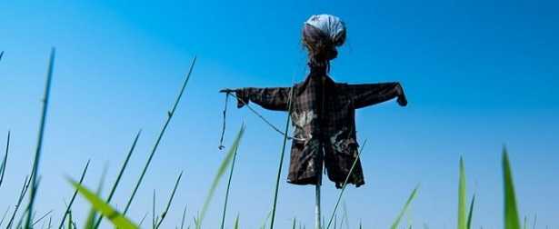 Spaventapasseri Spaventapasseri