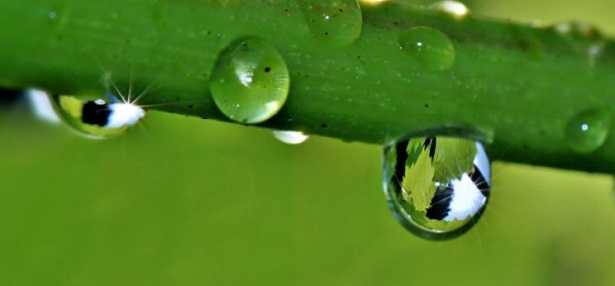 Tensione superficiale