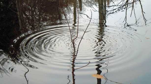 Tensione superficiale