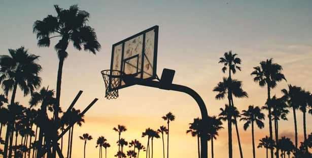 Varietà di palme: foto