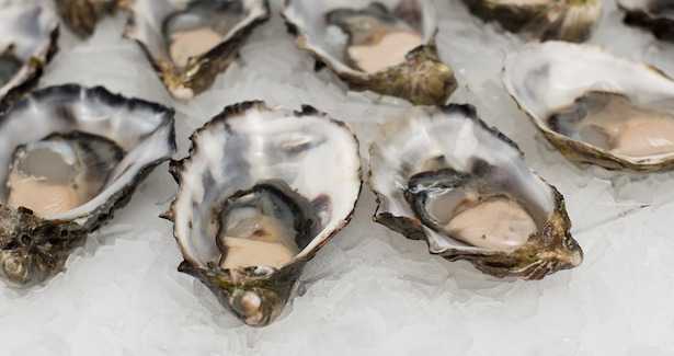 Come aprire le ostriche
