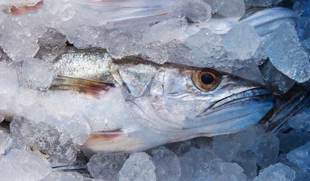 Come pulire il nasello