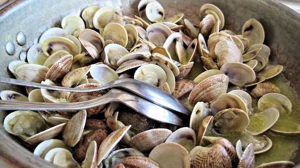 Come spurgare le vongole