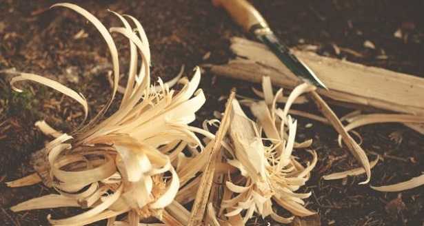 Intagliare il legno e scolpire